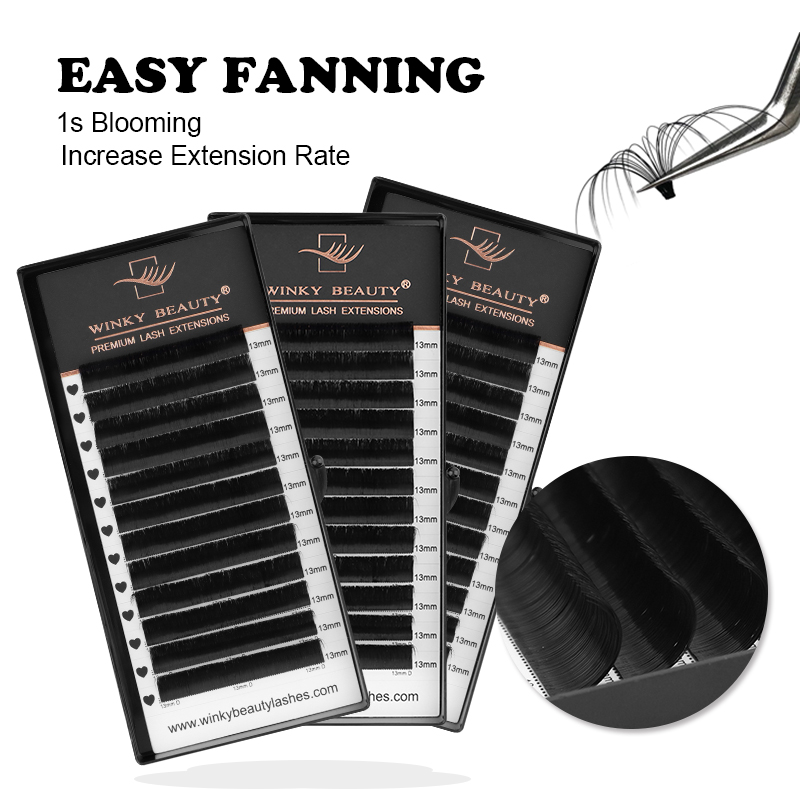 Winky Beauty Easy Fan Eyelashe - Eyelash Extension Mega Volume 评论和价格