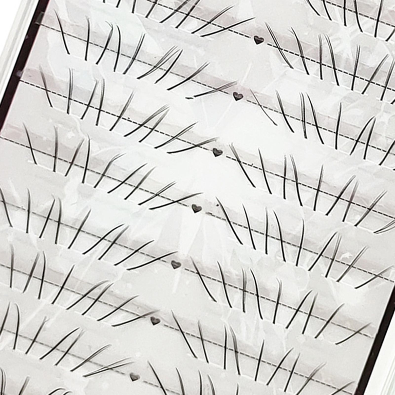 Natural Cat Paw Lower Lashes C - Eyelash Extension Cat Eye 评论和价格